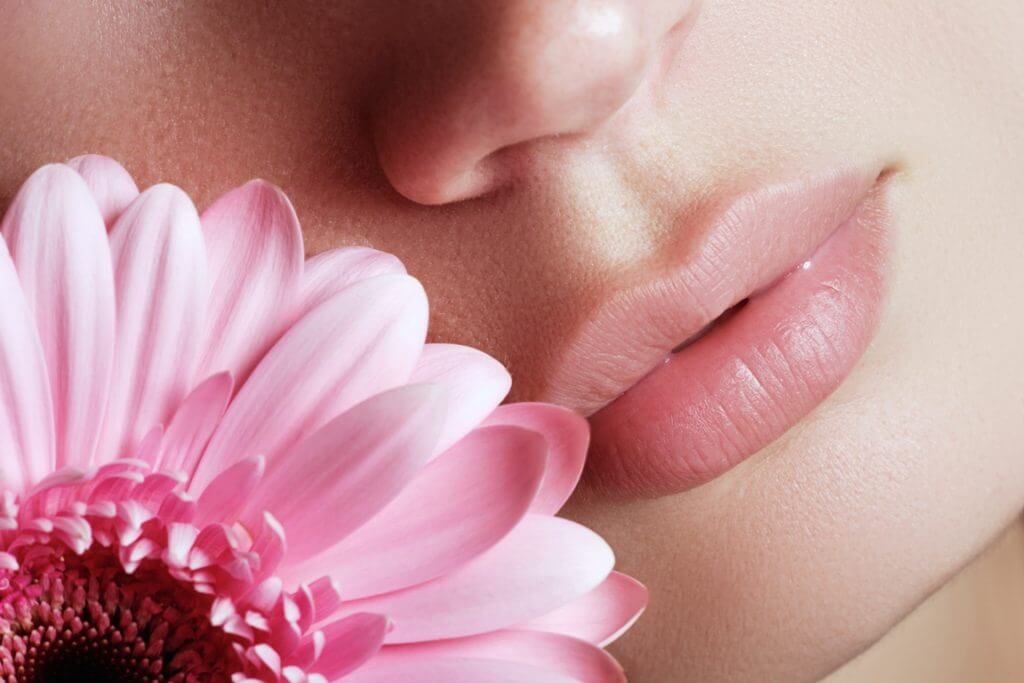 10-home-remedies-lips-care-hindi-rose